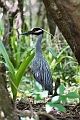 Florida10