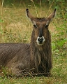 zoo1