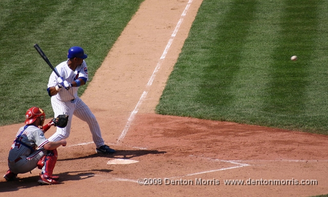 cubs2.JPG