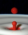 Drop1