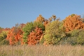 Fall1