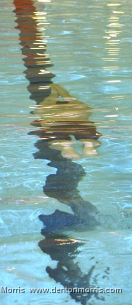 Phelps6.jpg - Michael Phelps 2004