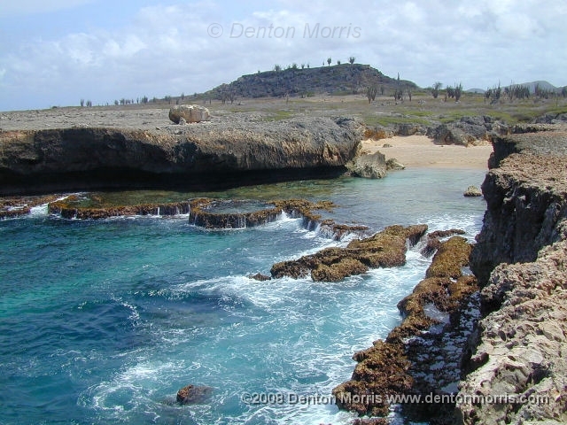 Bonaire1.JPG