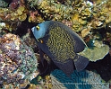 Bonaire4