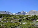 Rockies2