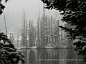 Rockies5