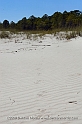Florida1