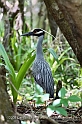 Florida10