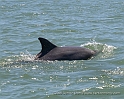 Florida2