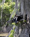 Florida9