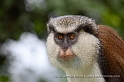 Grenada1