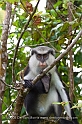 Grenada15