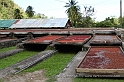 Grenada6