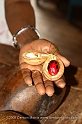 Grenada9