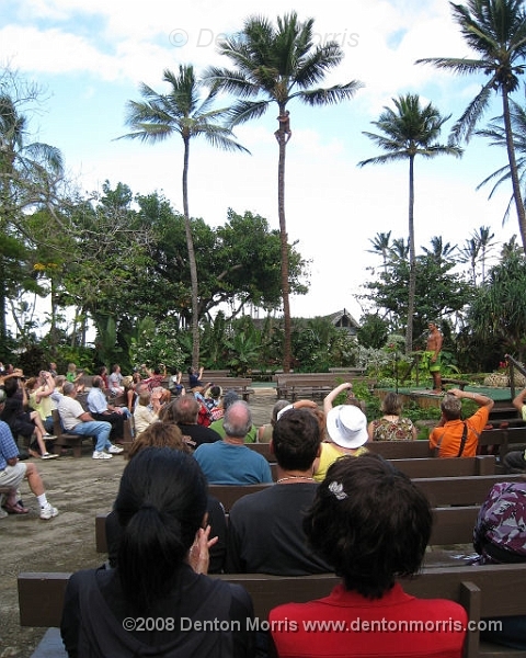 Hawaii5.JPG