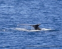 Hawaii3