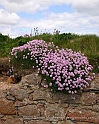 Scotland5