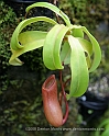 Singapore6
