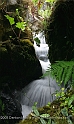 Singapore8