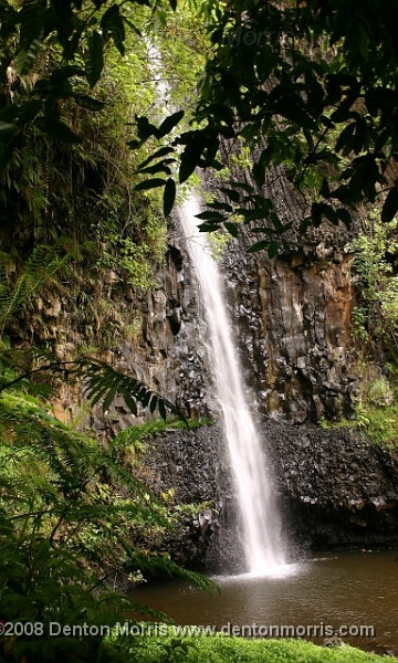 Tahiti15.JPG