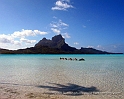 Tahiti17