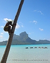 Tahiti